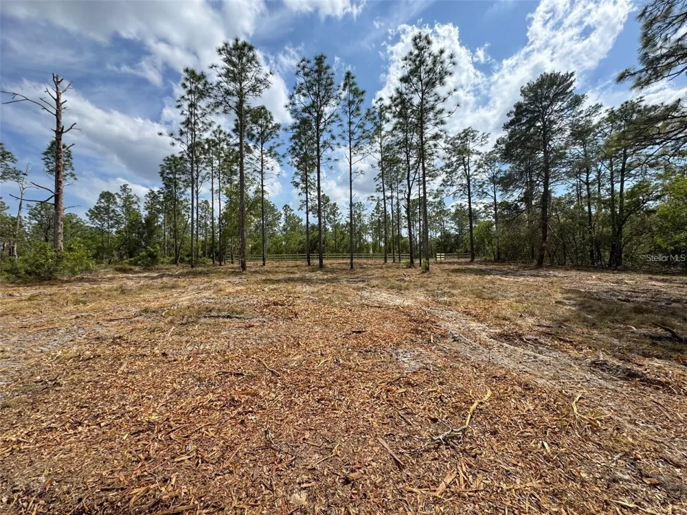 SW EDGEWATER BOULEVARD Dunnellon, FL 34431