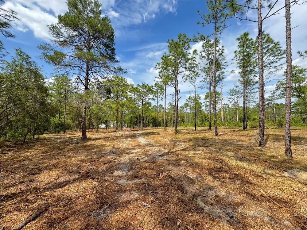 SW EDGEWATER BOULEVARD Dunnellon, FL 34431