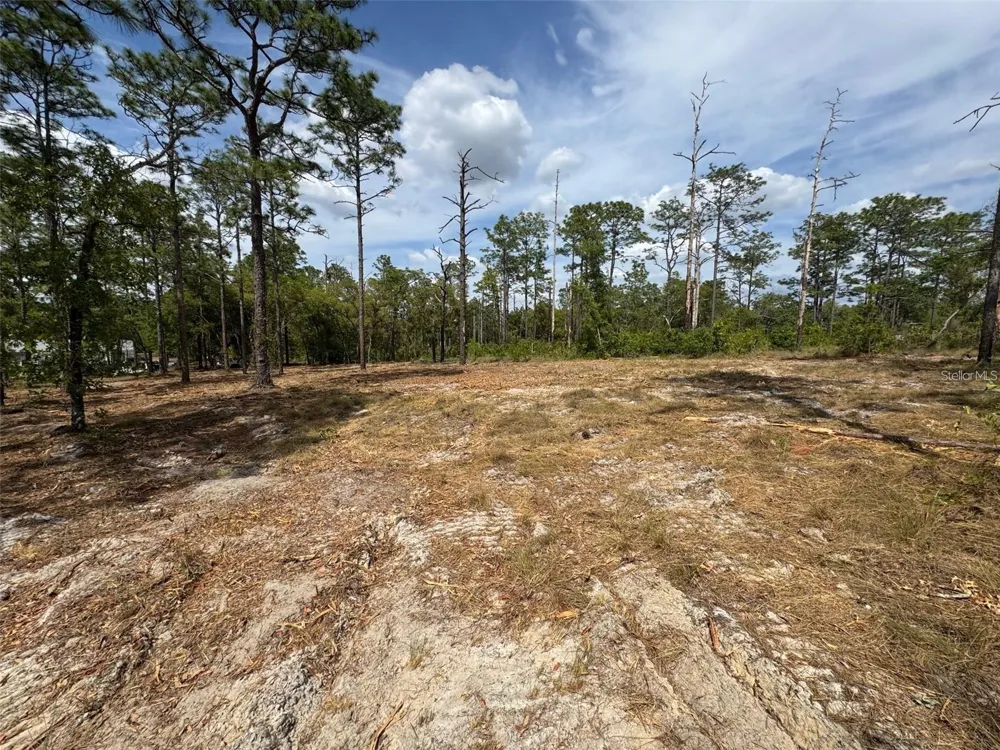 SW EDGEWATER BOULEVARD Dunnellon, FL 34431