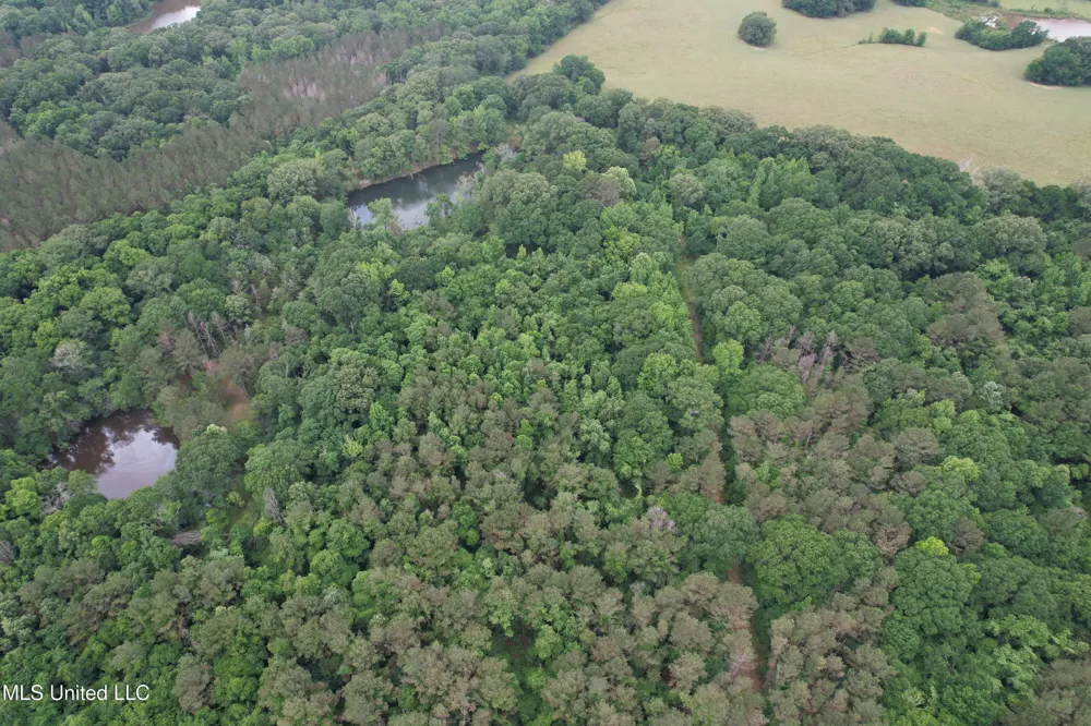 Westbrook And Bend Road Vaughan, MS 39179