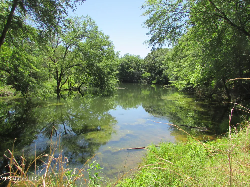 Westbrook And Bend Road Vaughan, MS 39179
