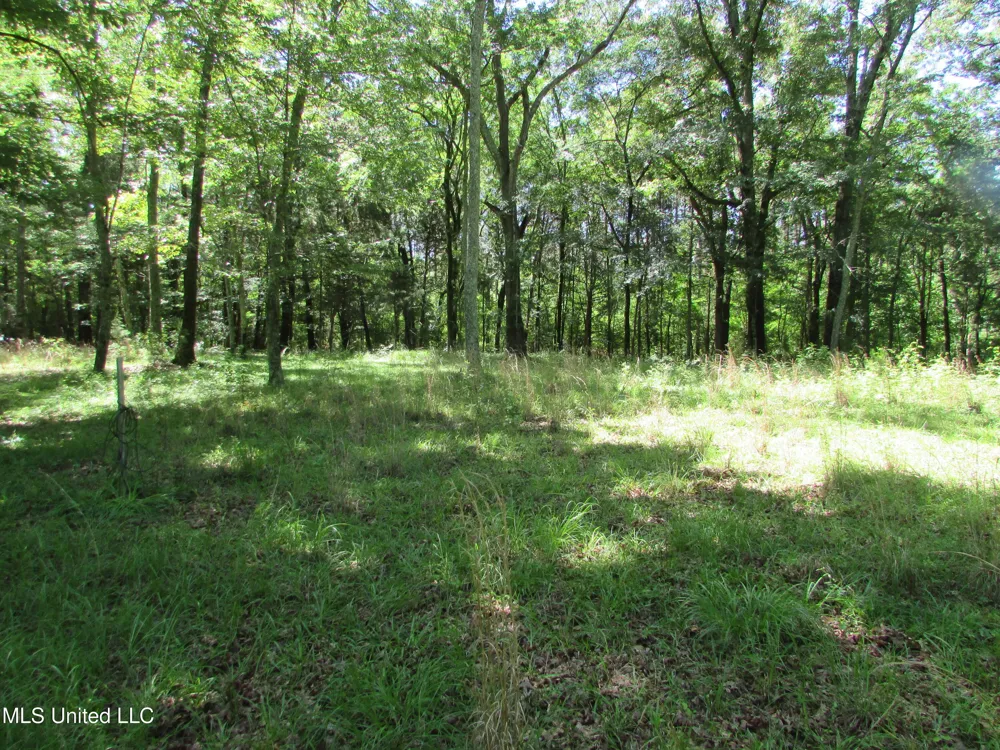 Westbrook And Bend Road Vaughan, MS 39179