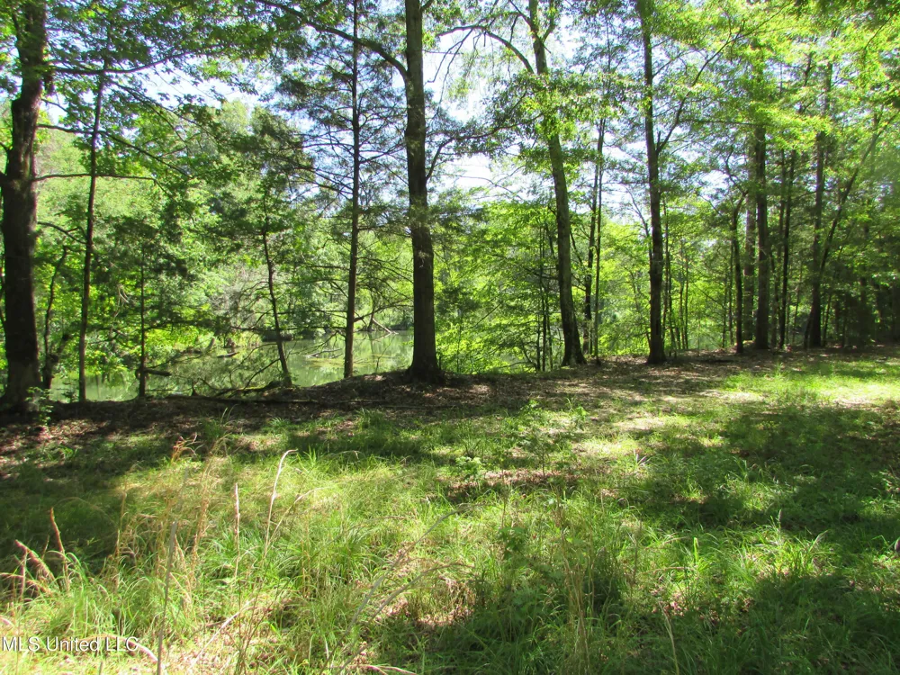 Westbrook And Bend Road Vaughan, MS 39179