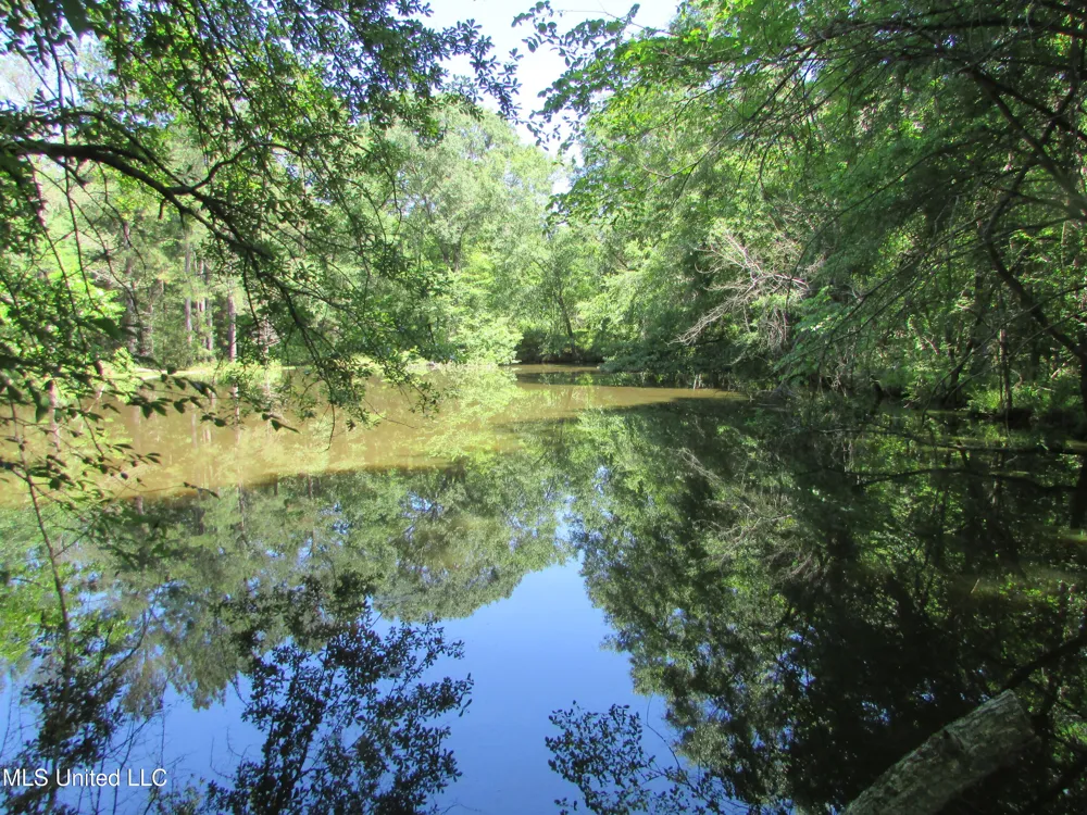 Westbrook And Bend Road Vaughan, MS 39179