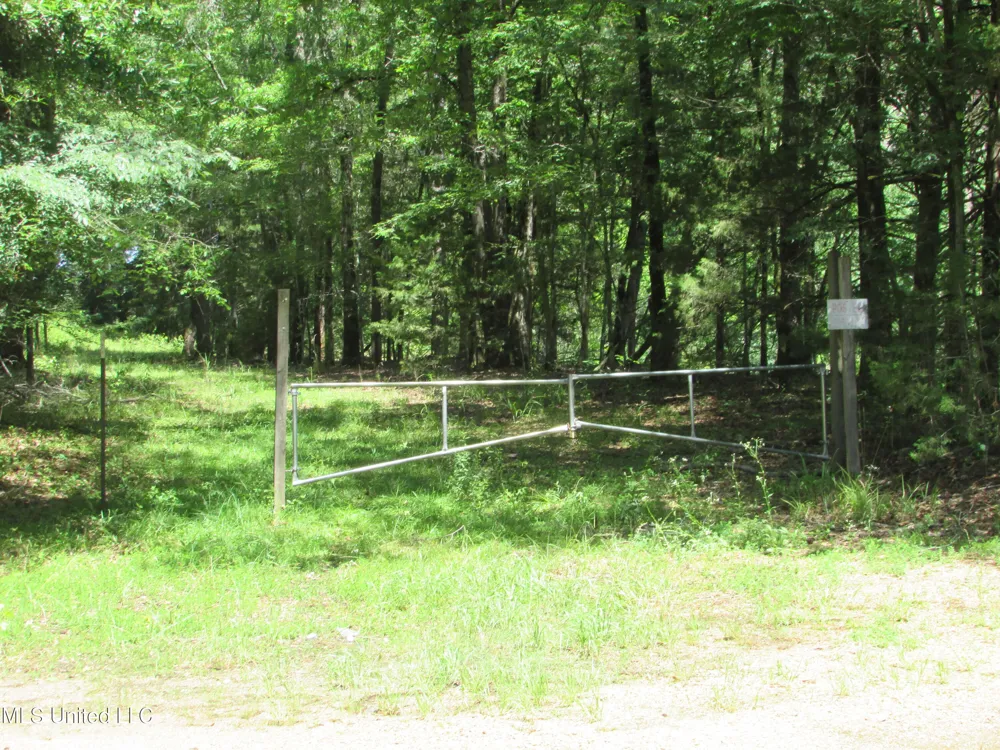Westbrook And Bend Road Vaughan, MS 39179
