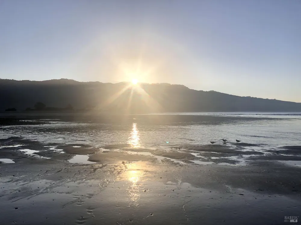 241 Alder Road Bolinas, CA 94924