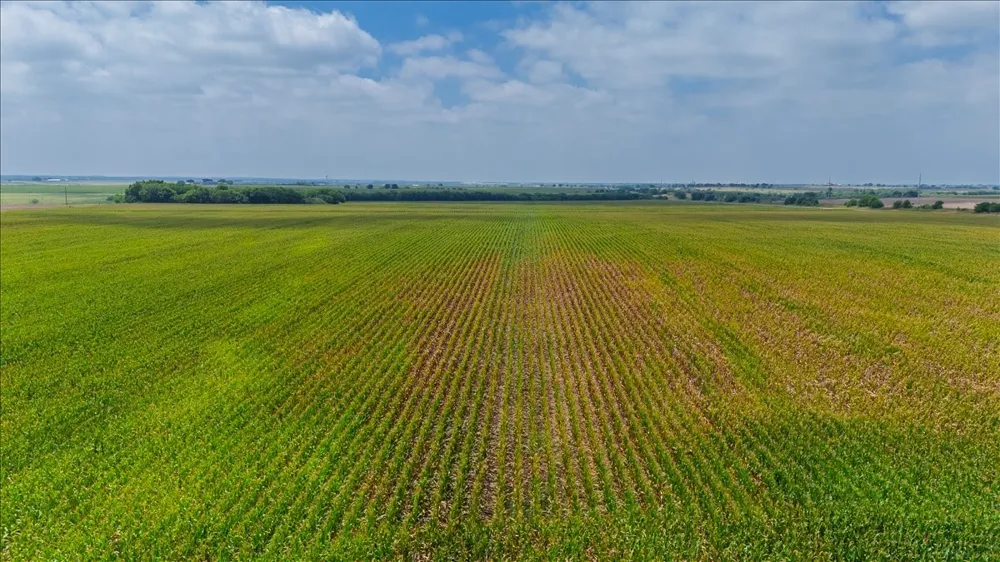 St Hwy 81 Hillsboro, TX 76645