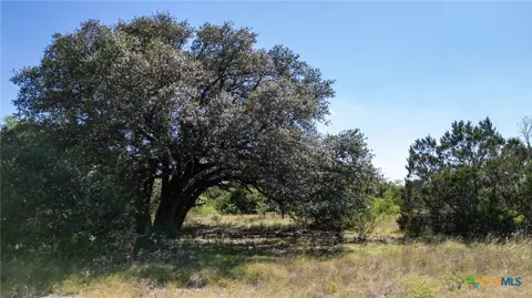 3 PR 4218