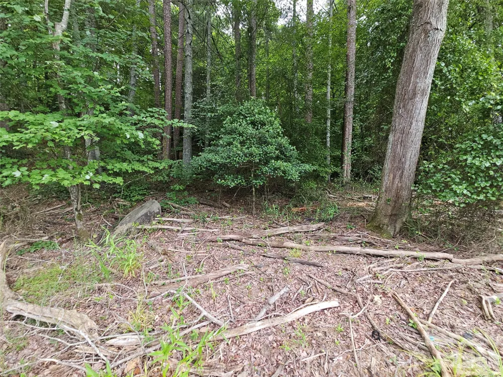 0 Broadwater Drive #168 Granite Falls, NC 28630