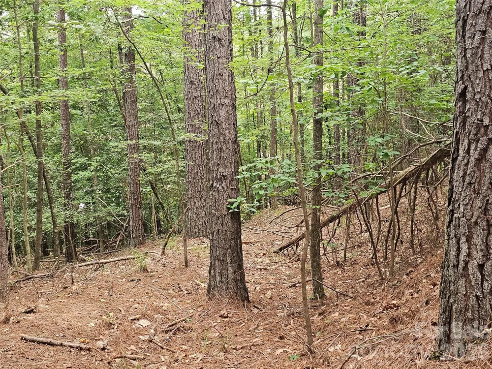 0 Broadwater Drive #168 Granite Falls, NC 28630