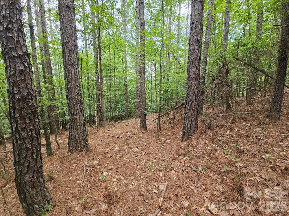0 Broadwater Drive #168 Granite Falls, NC 28630