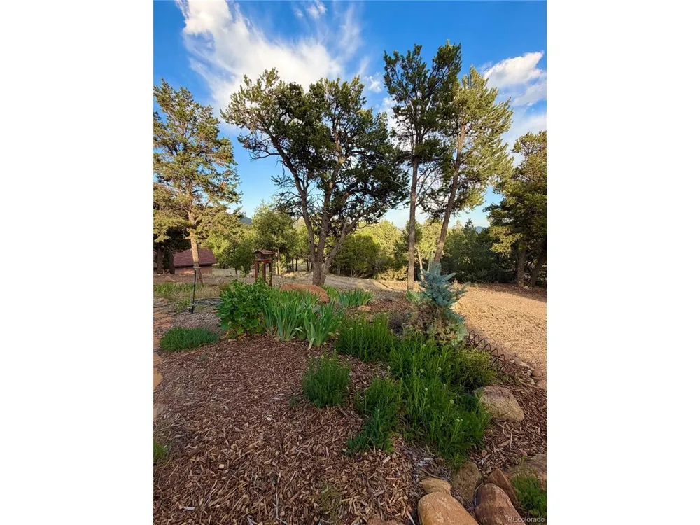 990 Hamilton Creek Road Coaldale, CO 81222