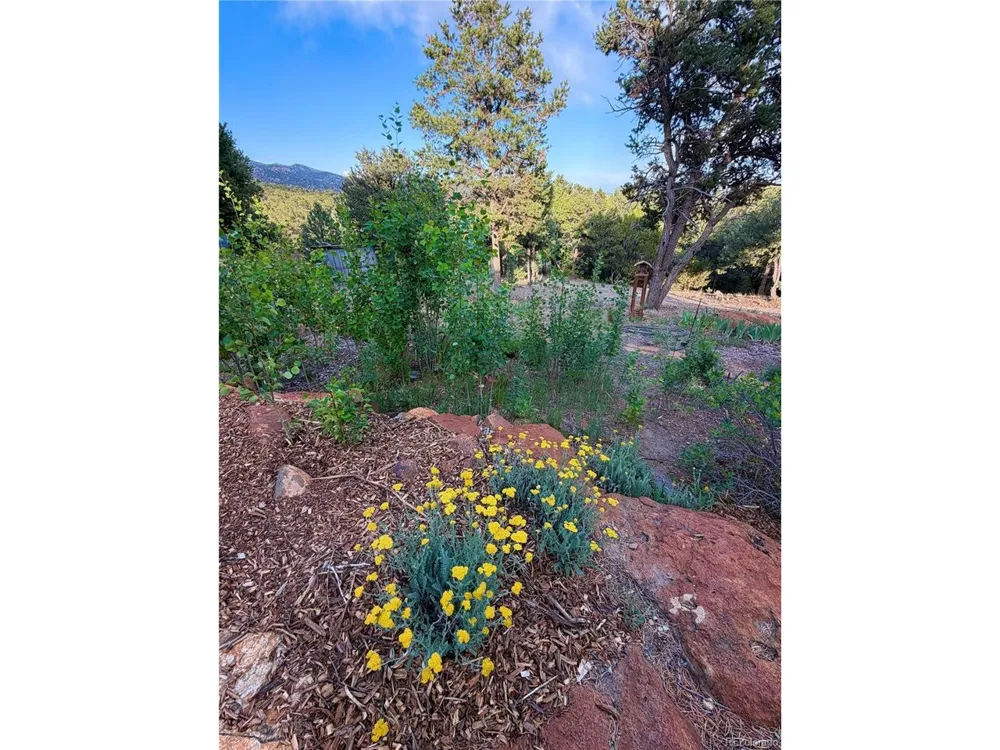 990 Hamilton Creek Road Coaldale, CO 81222