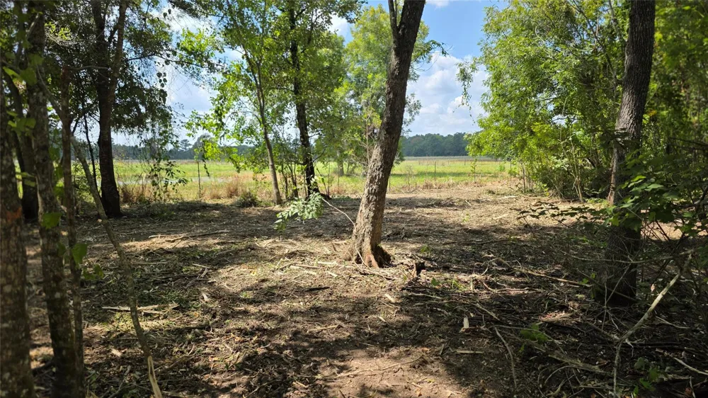 414 Highway 105 W Liberty, TX 77575