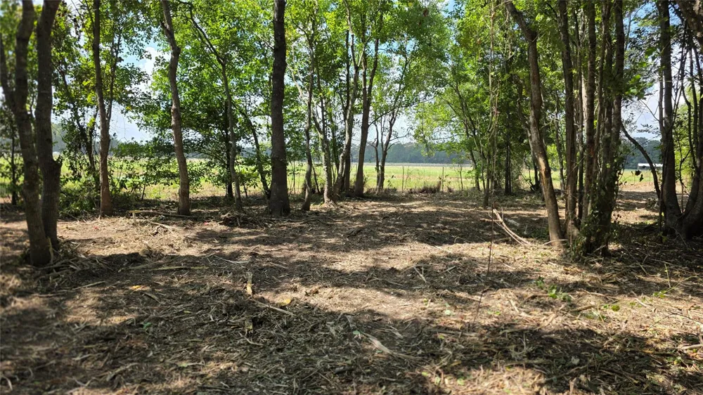 414 Highway 105 W Liberty, TX 77575
