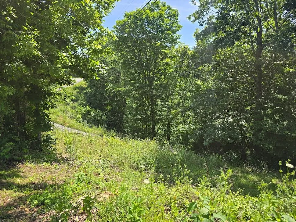 5413 Cookeville Hwy Smithville, TN 37166