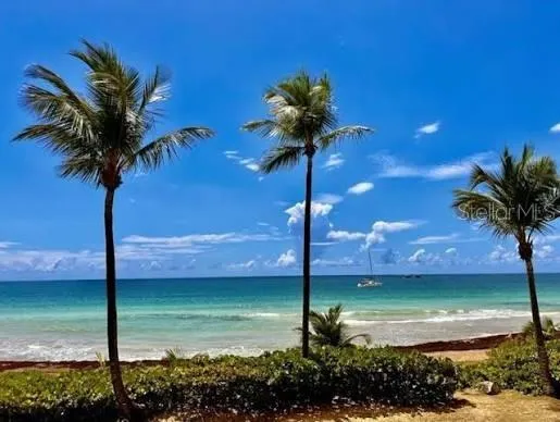 Palmas del Mar FAIRLAKES VILLAGE #655 Humacao, PR 00791