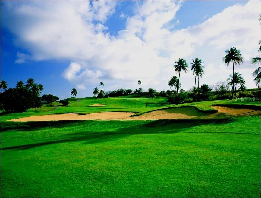 Palmas del Mar FAIRLAKES VILLAGE #655 Humacao, PR 00791