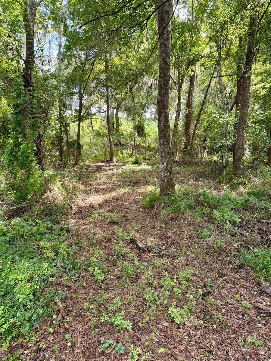 701 BROOKE ROAD Fort Meade, FL 33841