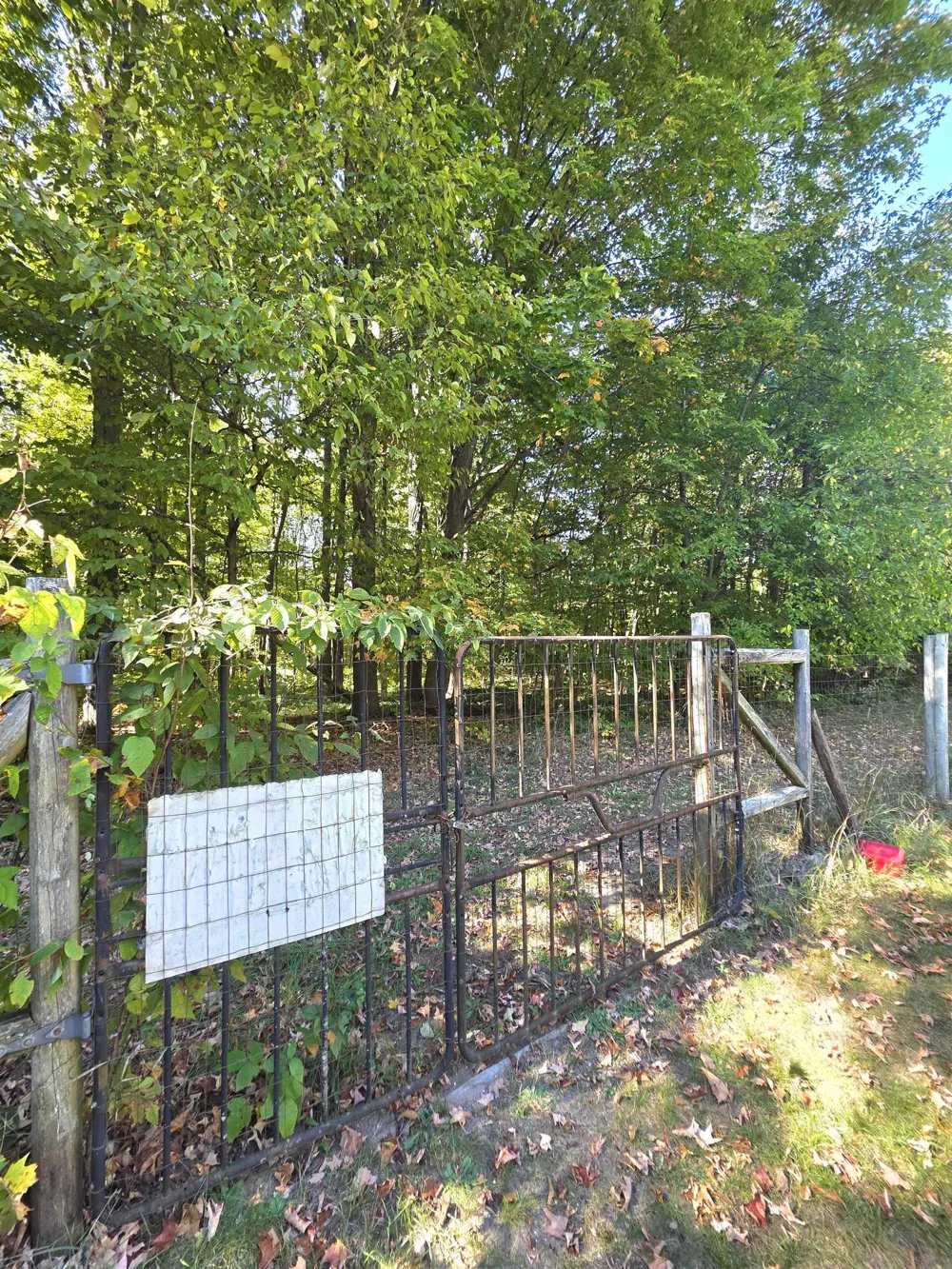 2822 W Ironwood Drive Blair Township, MI 49685