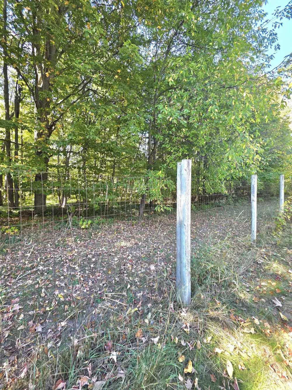2822 W Ironwood Drive Blair Township, MI 49685