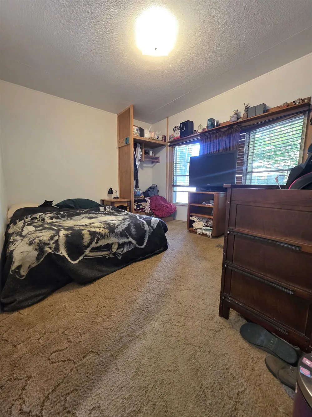 2822 W Ironwood Drive Blair Township, MI 49685