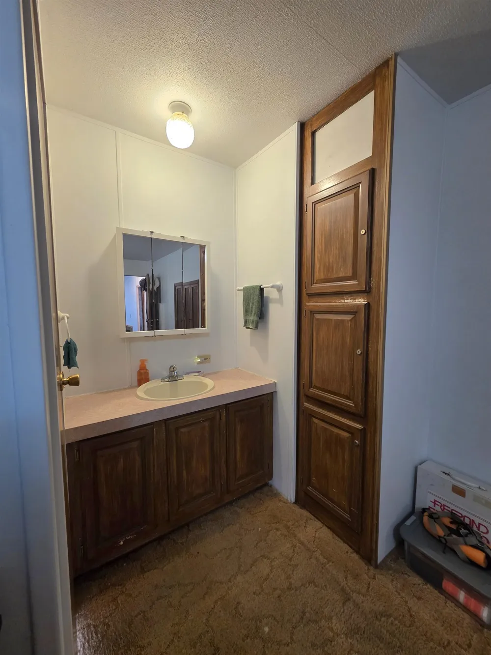 2822 W Ironwood Drive Blair Township, MI 49685
