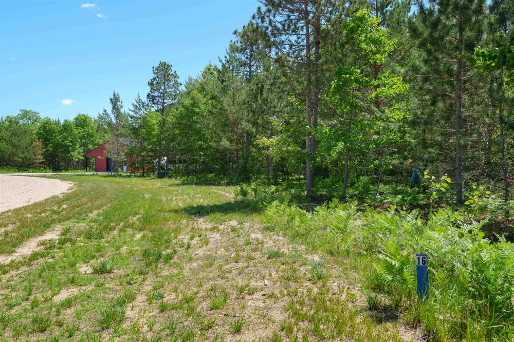 8006 Springwater Drive Clearwater Township, MI 49676