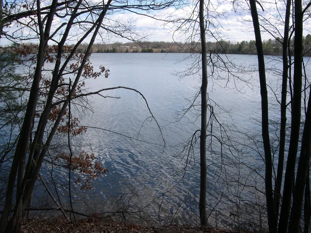 1557 Edgewater Ridge Traverse City City, MI 49684