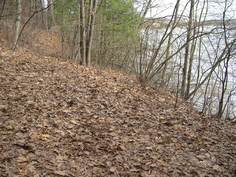 1557 Edgewater Ridge Traverse City City, MI 49684