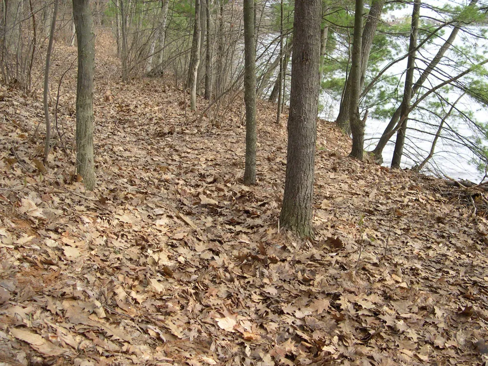 1557 Edgewater Ridge Traverse City City, MI 49684