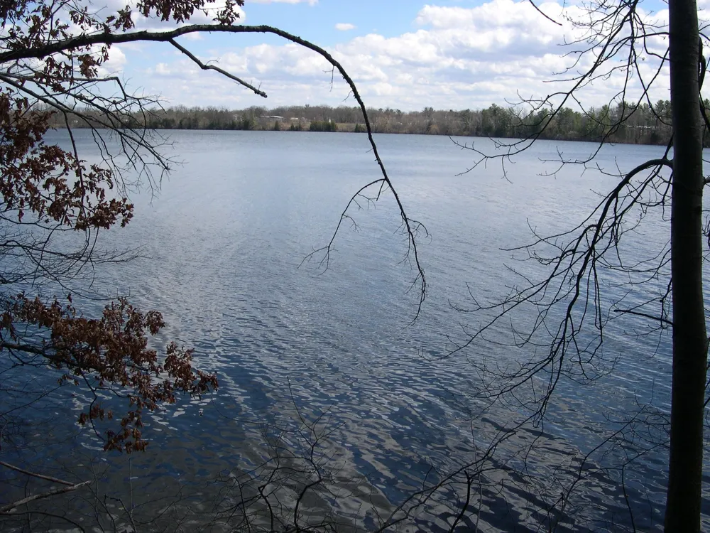 1557 Edgewater Ridge Traverse City City, MI 49684