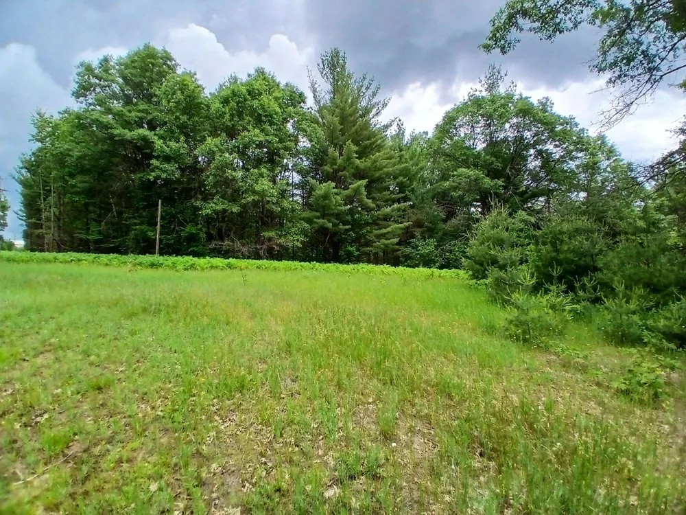 2486 Retelle Lane Klacking Township, MI 48661