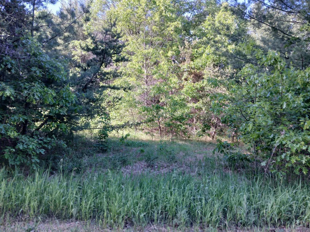 2486 Retelle Lane Klacking Township, MI 48661