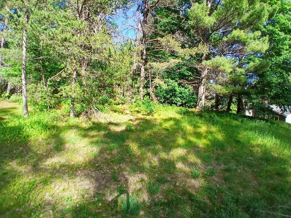 2486 Retelle Lane Klacking Township, MI 48661
