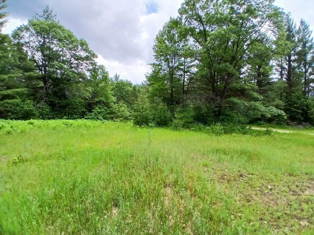 2486 Retelle Lane Klacking Township, MI 48661