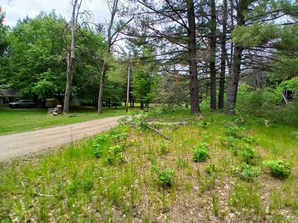 2486 Retelle Lane Klacking Township, MI 48661