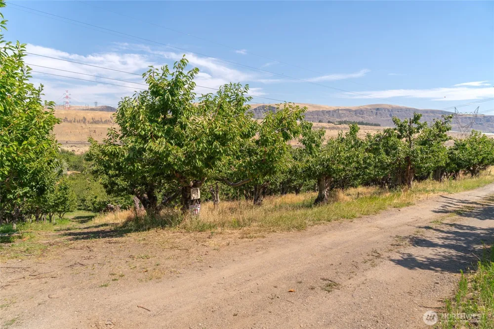 7199 Lot 4 Tarpiscan Road Malaga, WA 98828