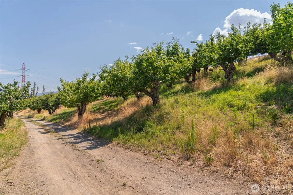 7199 Lot 4 Tarpiscan Road Malaga, WA 98828