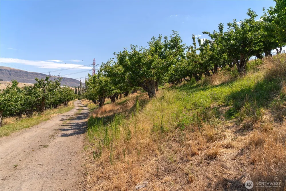 7199 Lot 4 Tarpiscan Road Malaga, WA 98828