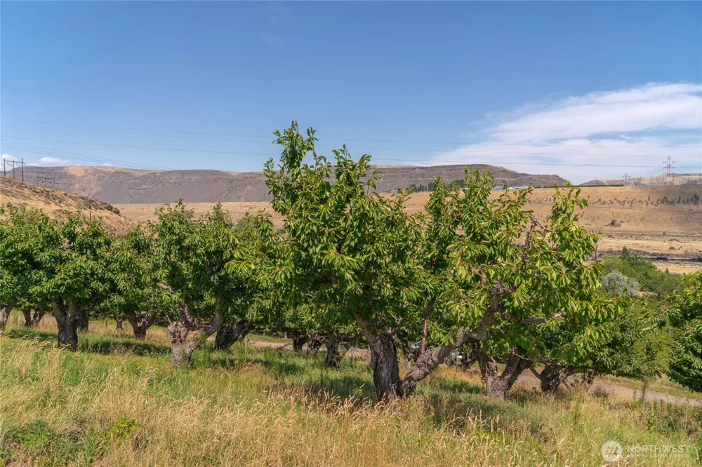 7199 Lot 4 Tarpiscan Road Malaga, WA 98828
