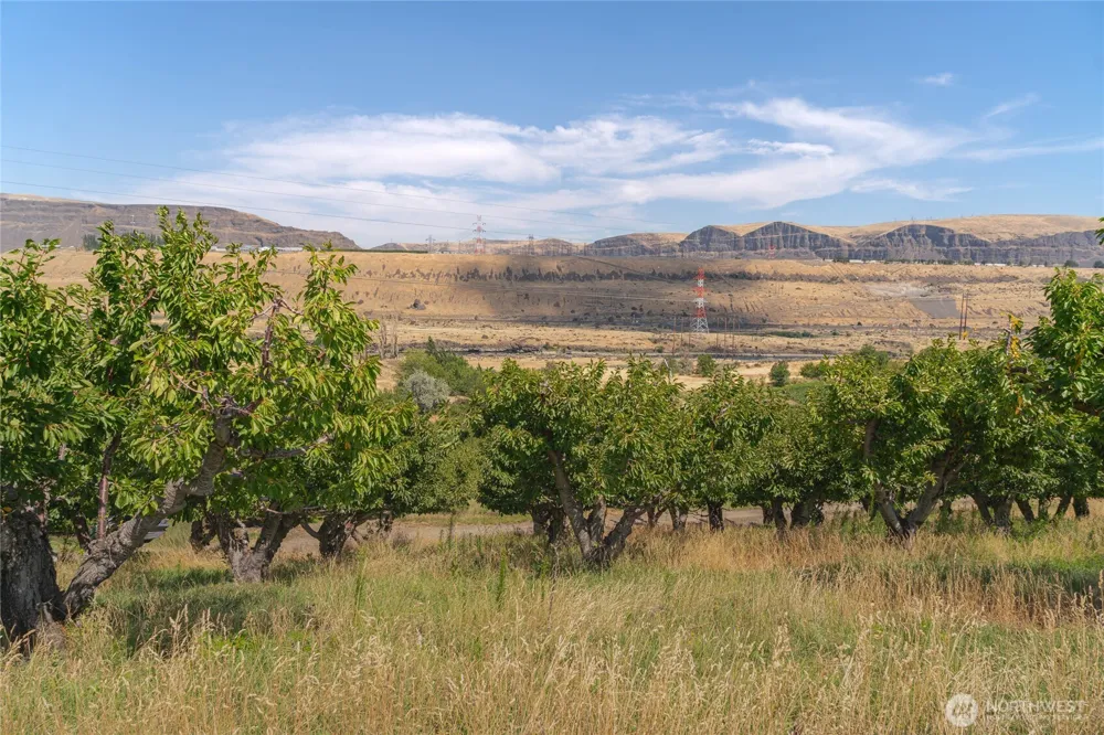 7199 Lot 4 Tarpiscan Road Malaga, WA 98828
