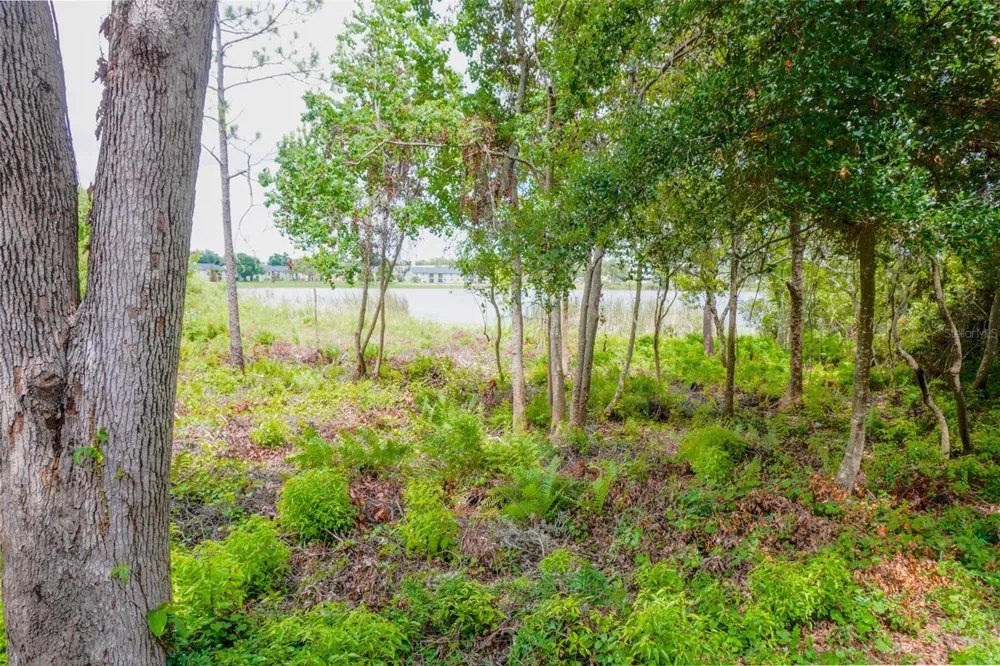 1010 WINDERLEY PLACE #149 Maitland, FL 32751