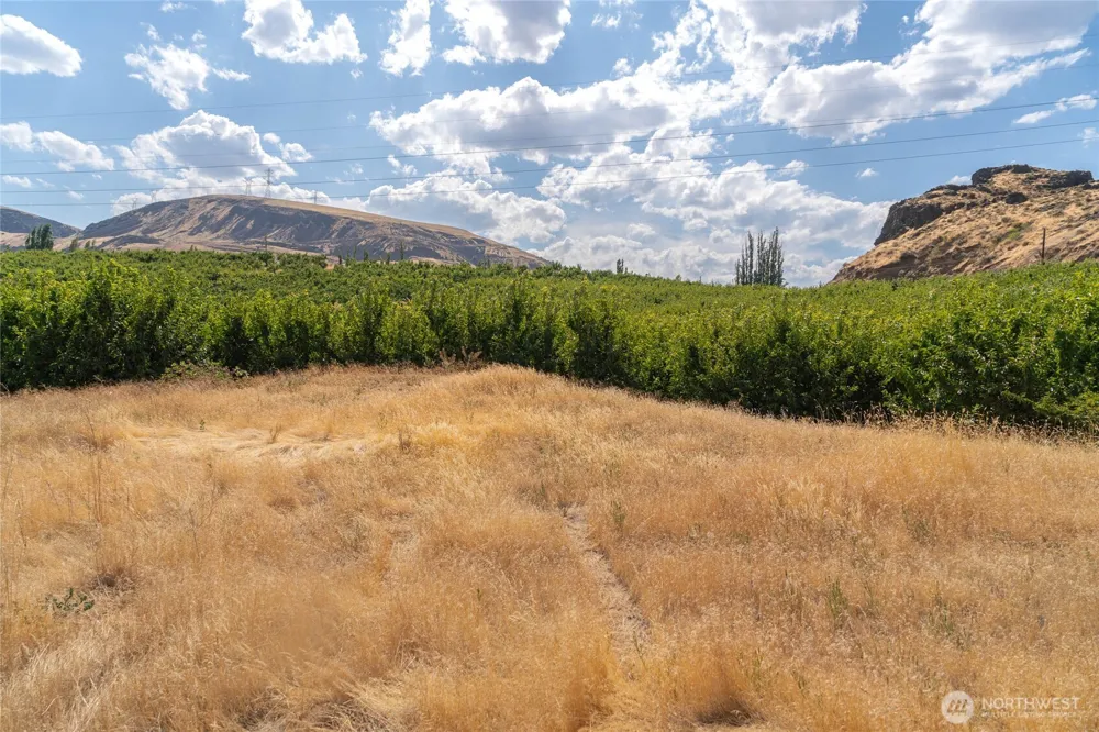 7199 Lot 5 Tarpiscan Road Malaga, WA 98828