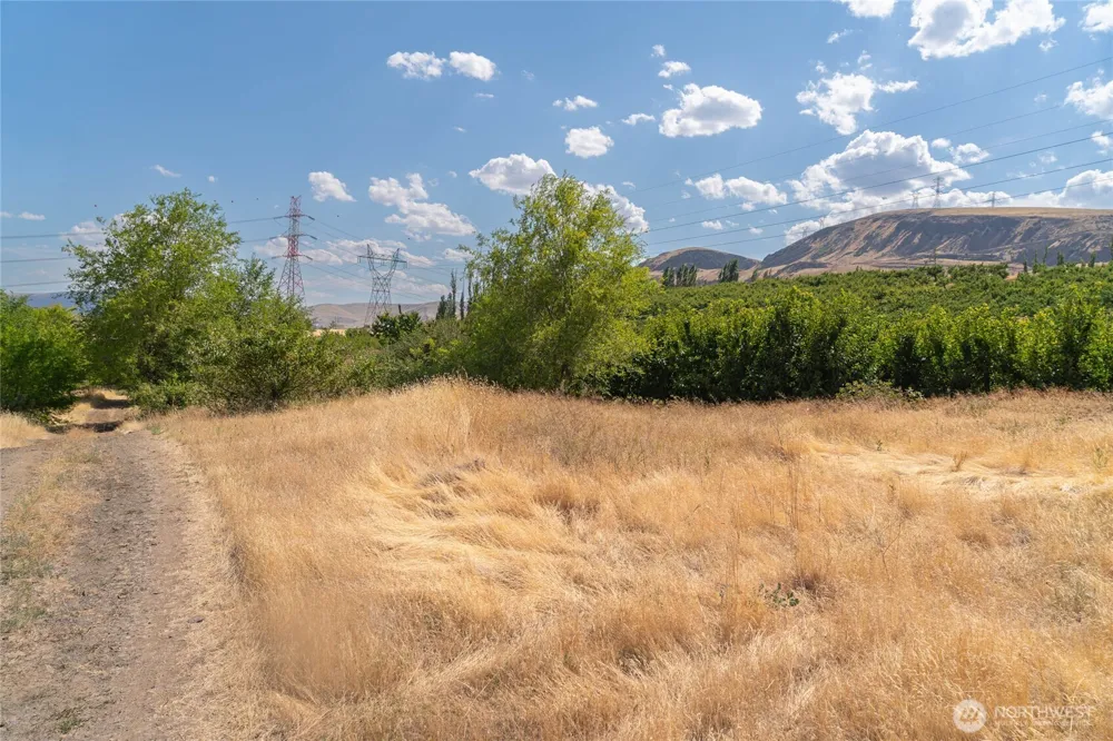 7199 Lot 5 Tarpiscan Road Malaga, WA 98828