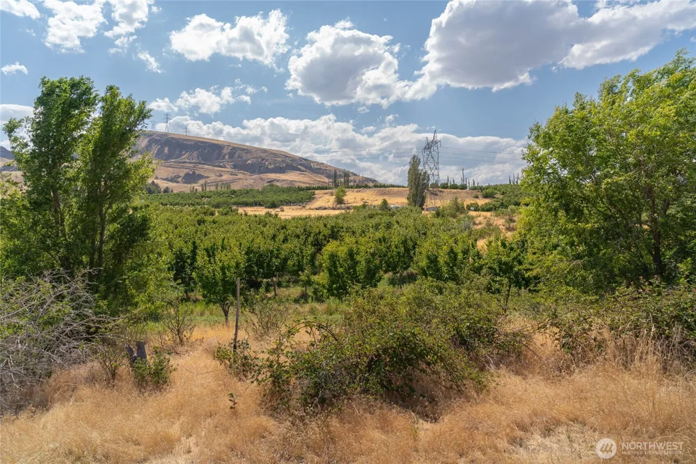 7199 Lot 6 Tarpiscan Road Malaga, WA 98828