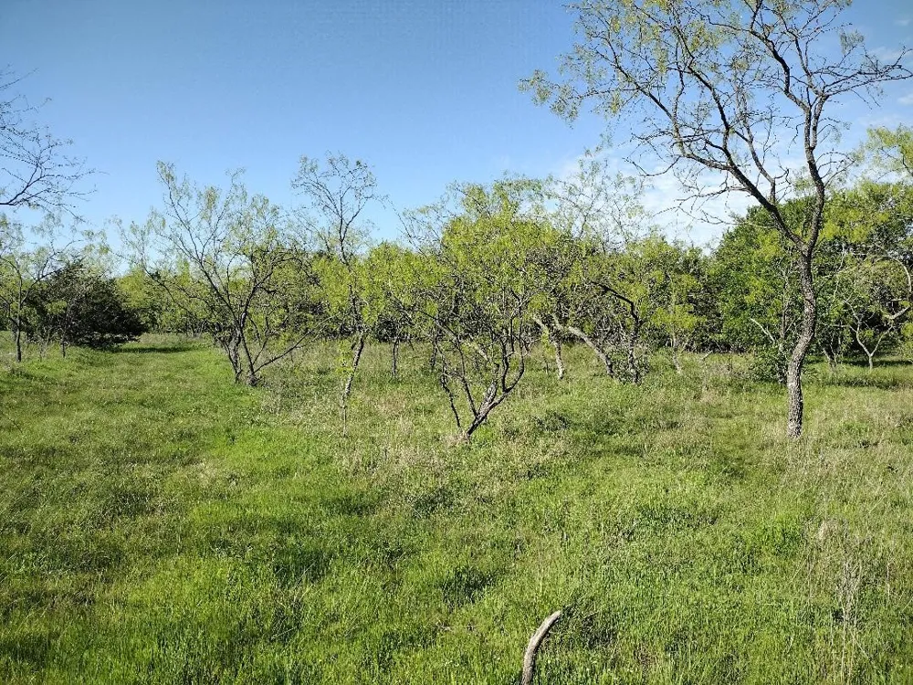 4007 Vista Oak Royse City, TX 75189