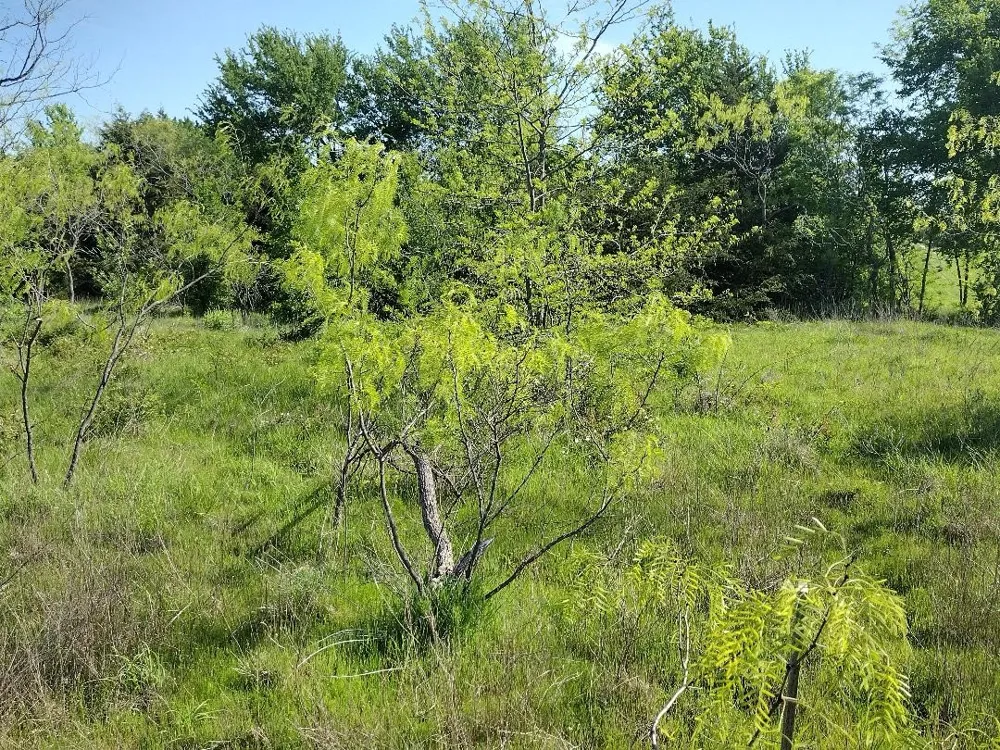 4007 Vista Oak Royse City, TX 75189