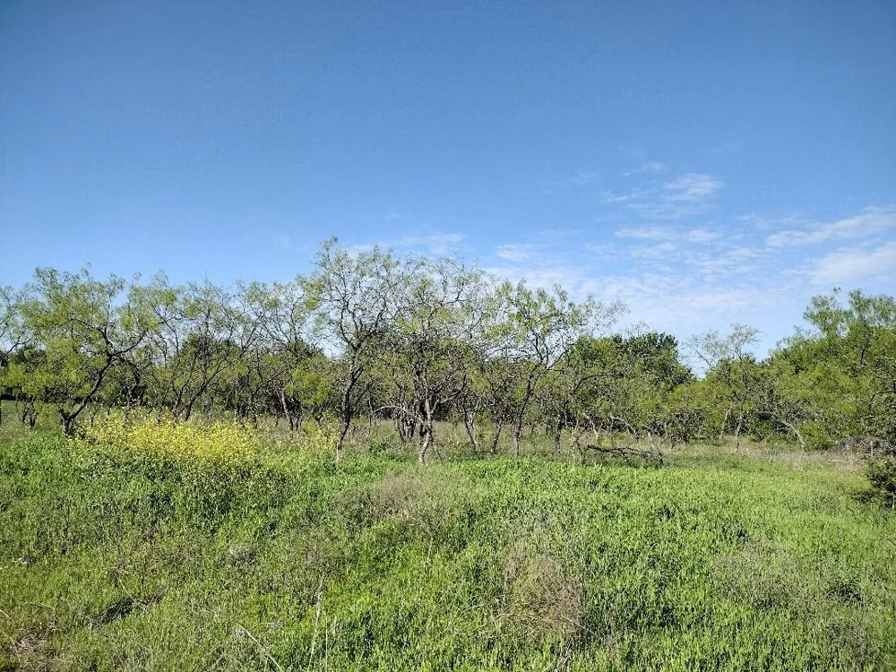 4007 Vista Oak Royse City, TX 75189
