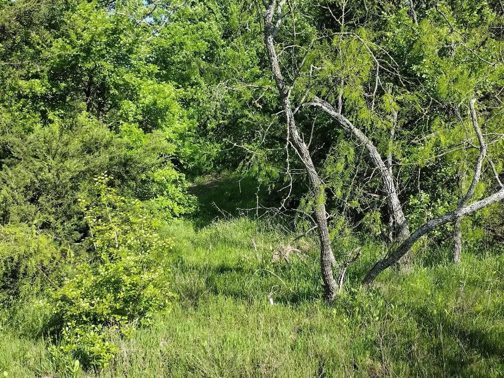 4007 Vista Oak Royse City, TX 75189